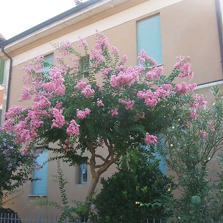 Hotel Accorsi 3*
